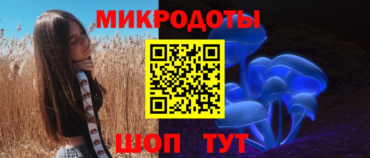 продажа наркотиков  Псилоцибиновые грибы Psilocybe  Псилоцибиновые грибы Psilocybe  Вход с VPN  Магадан 