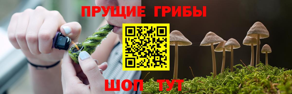 Псилоцибиновые грибы Magic Shrooms Магадан